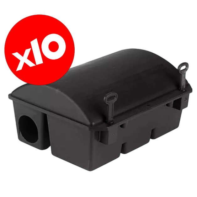 Boite-de-securité-Rat---x10